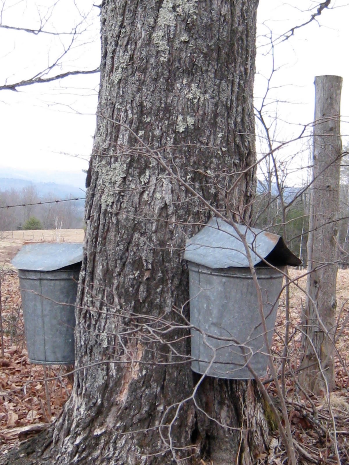 Town of Landaff, New Hampshire About Landaff